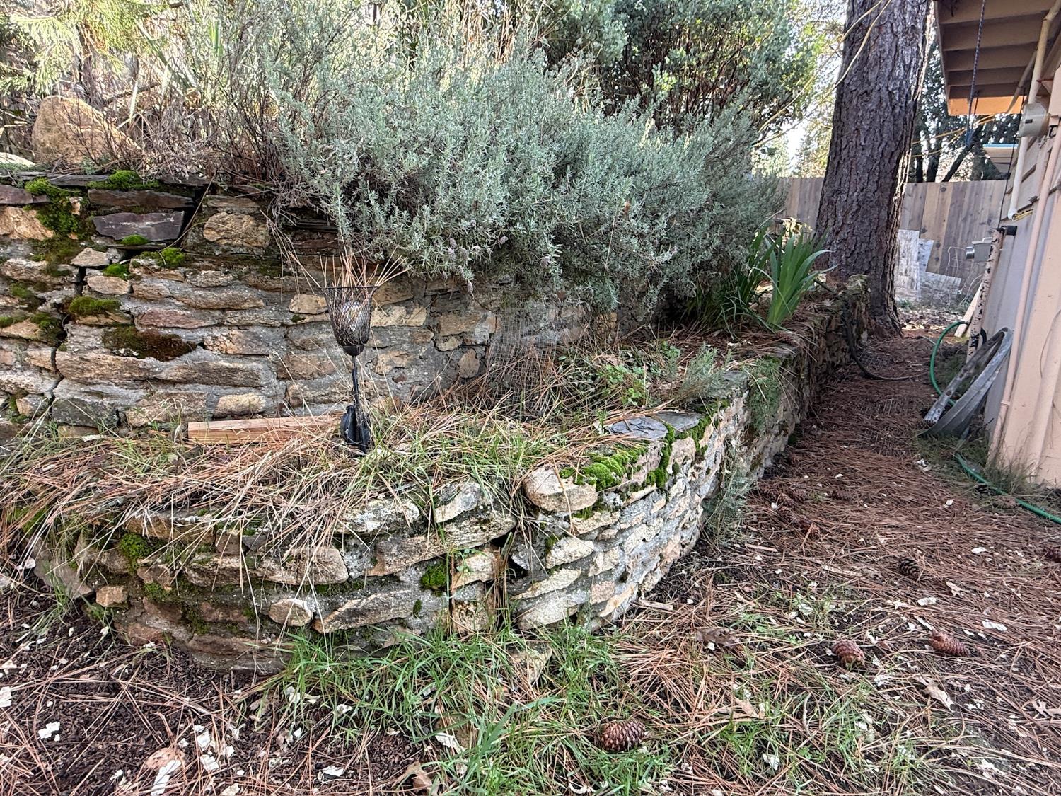 21614 Rockaway Road Nevada City, CA 95959 - Photo 41 of 56 a view of a yard with plants and large trees