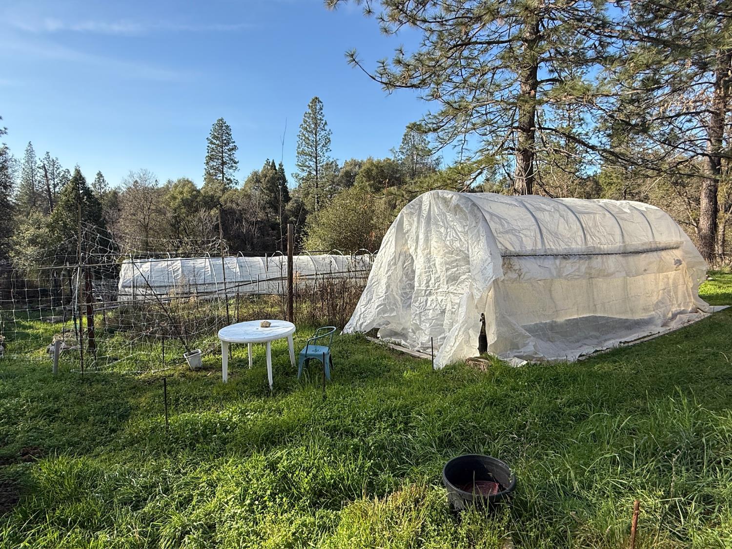 21614 Rockaway Road Nevada City, CA 95959 - Photo 44 of 56 a view of a garden with a slide and a fountain