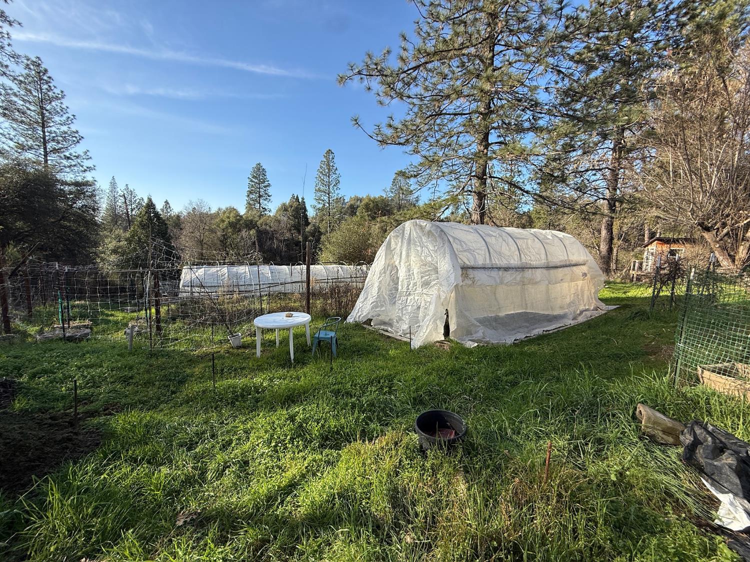 21614 Rockaway Road Nevada City, CA 95959 - Photo 45 of 56 a garden view