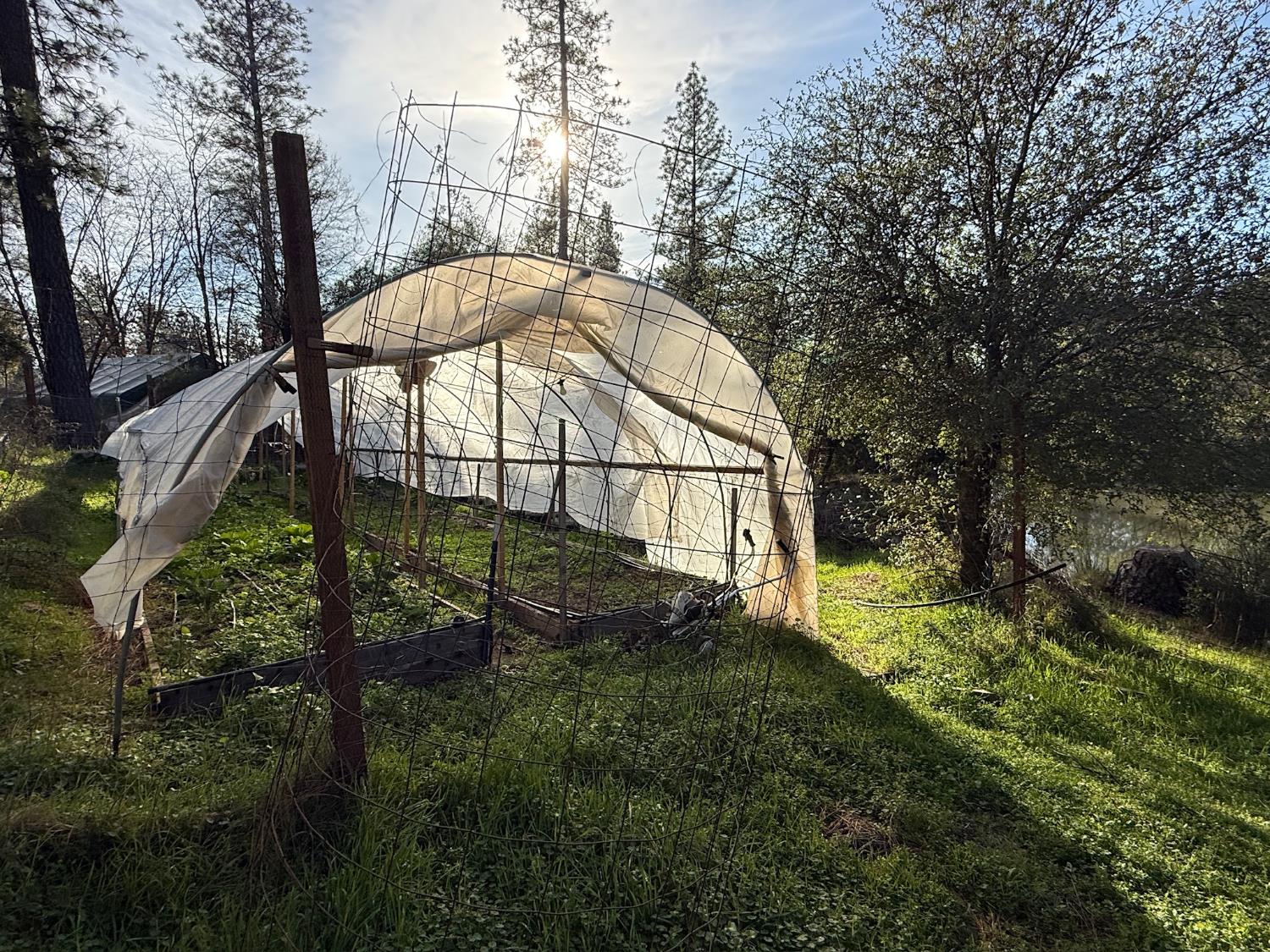 21614 Rockaway Road Nevada City, CA 95959 - Photo 47 of 56 a view of backyard with green space