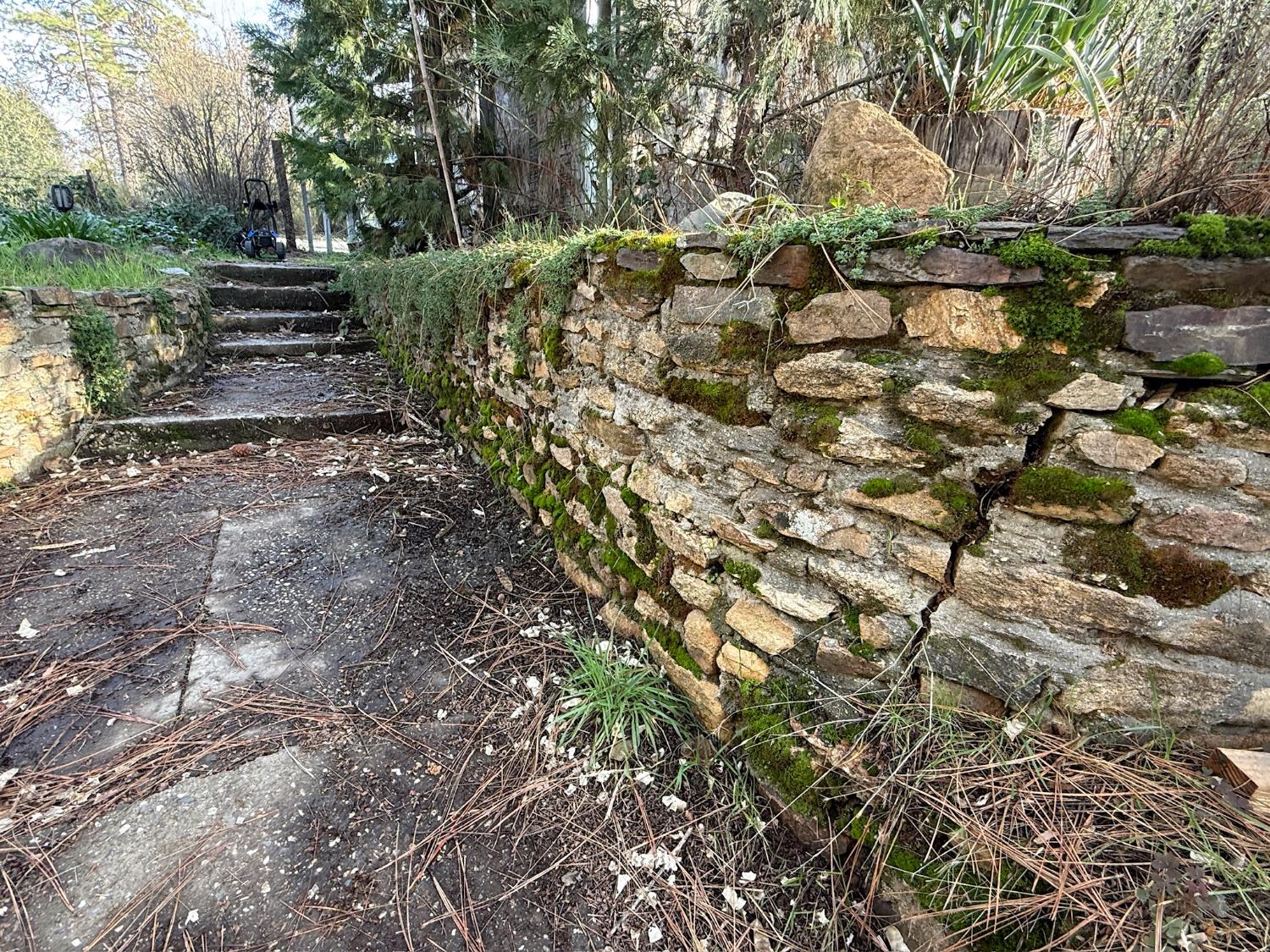 21614 Rockaway Road Nevada City, CA 95959 - Photo 52 of 56 a view of forest