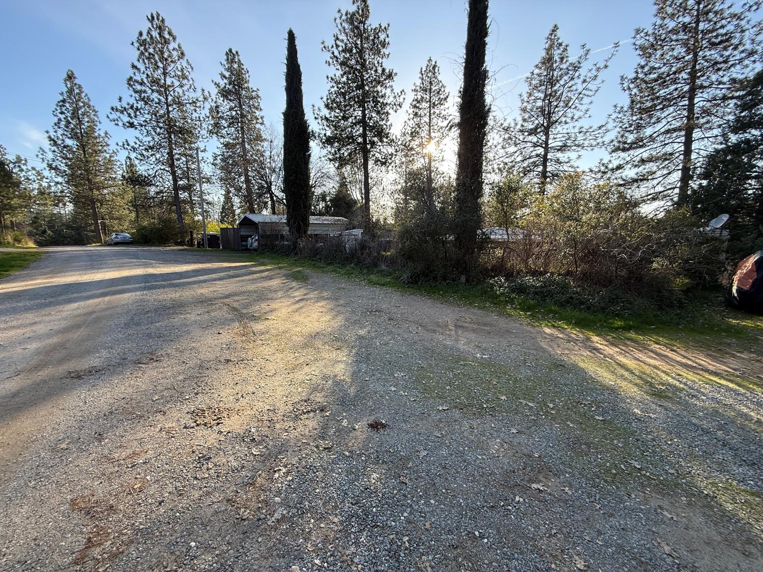 21614 Rockaway Road Nevada City, CA 95959 - Photo 6 of 56 a view of a yard with trees