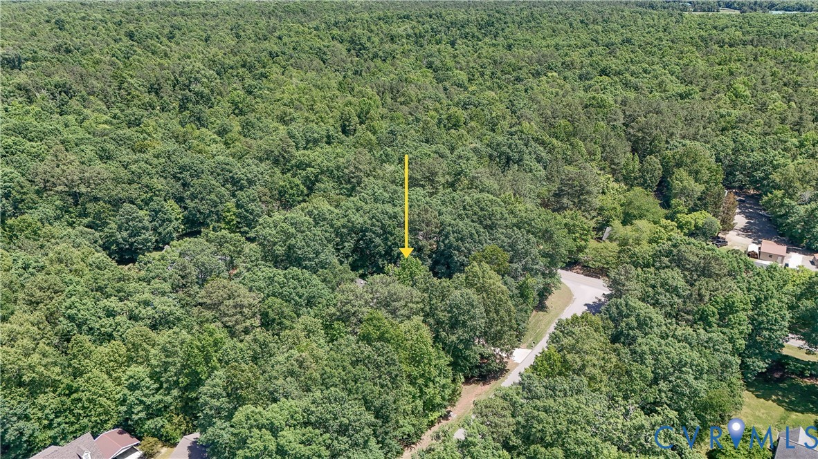 12512 2nd Branch Road Chesterfield, VA 23838 - Photo 45 of 56 a view of a forest with a street