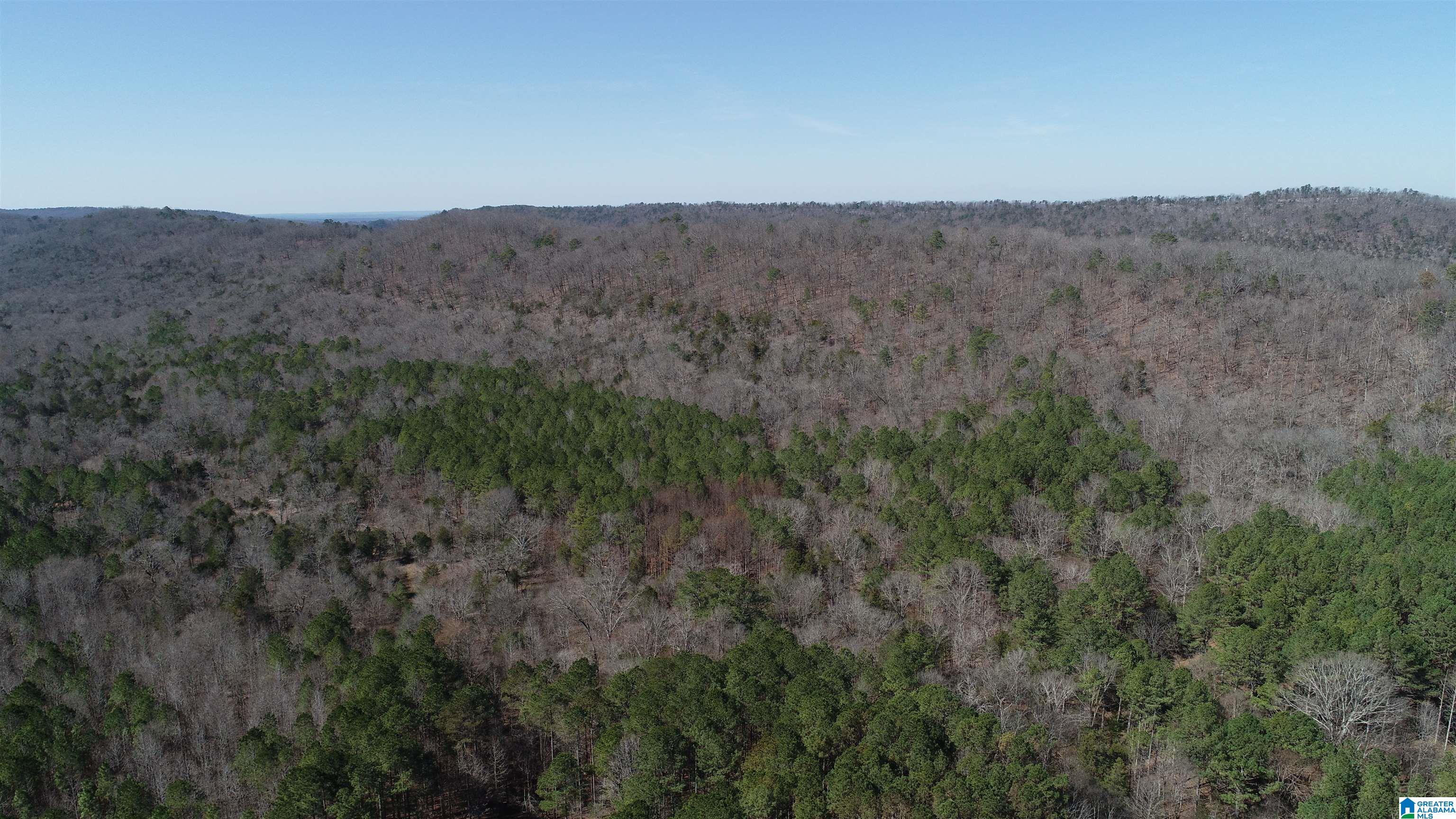 109 Shadow Stone Lane Oneonta, AL 35121 - Photo 12 of 31