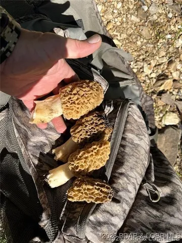 $549,000 | Kerick Lane, Bourbon, MO 65441