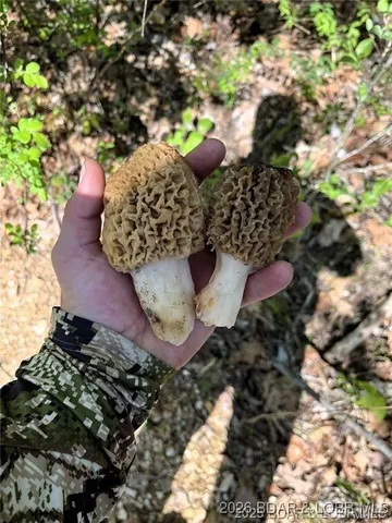 $549,000 | Kerick Lane, Bourbon, MO 65441