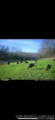 $549,000 | Kerick Lane, Bourbon, MO 65441