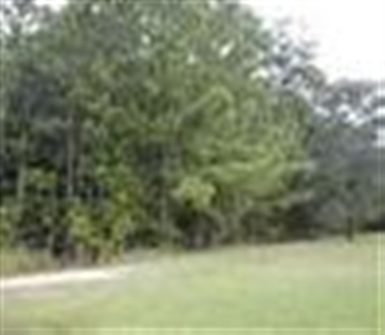 0 Kent Road Andrews, SC 29510 - Photo 1 of 4