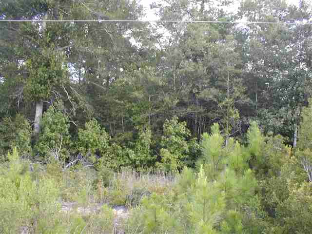 0 Kent Road Andrews, SC 29510 - Photo 2 of 4