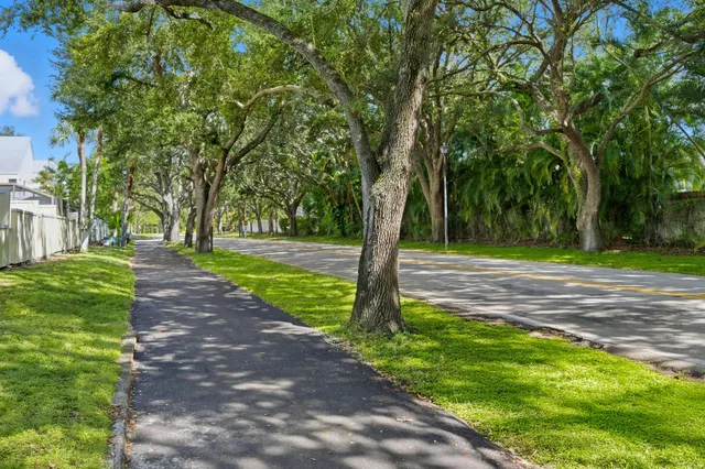 a view of a park with large trees