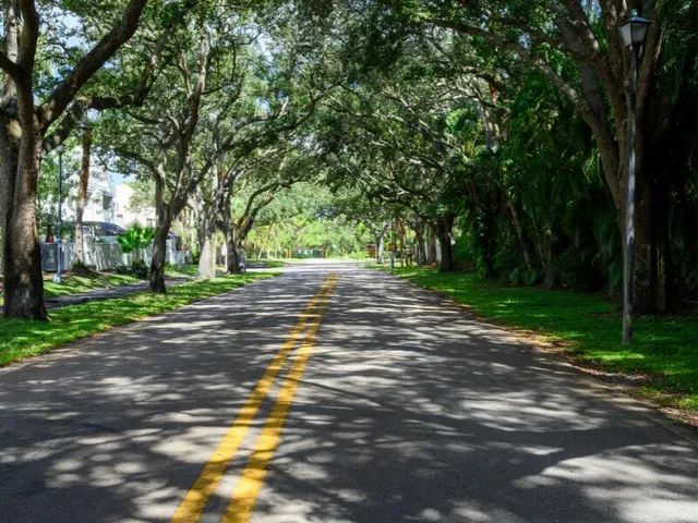 a view of a yard with plants and trees