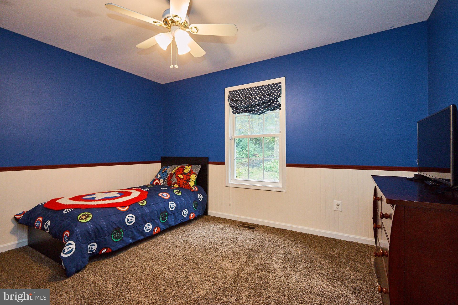 4813 Blue Mountain Road Linden, VA 22642 - Photo 20 of 30 Gallery Image 20