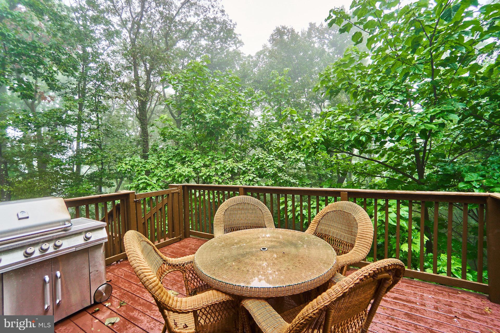 4813 Blue Mountain Road Linden, VA 22642 - Photo 26 of 30 Gallery Image 26