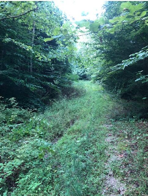 2095 Somerset Road London, KY 40741 - Photo 5 of 6 Somerset Rd 5