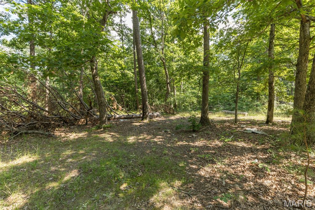 10130 Fish Hook Road Potosi, MO 63664 - Photo 10 of 29