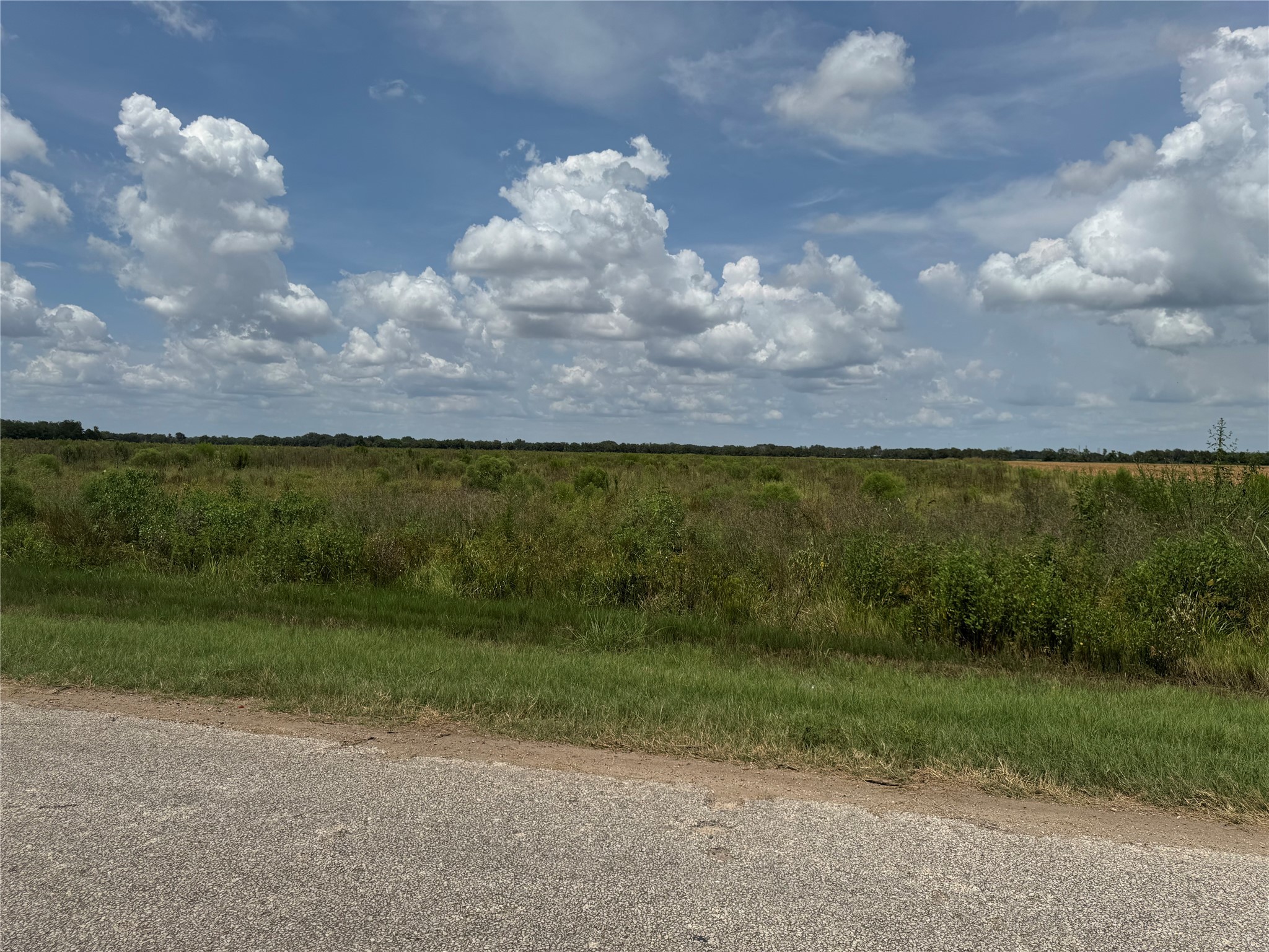 Tbd Beard Road Needville, TX 77461 - Photo 11 of 16 a view of a yard with an ocean