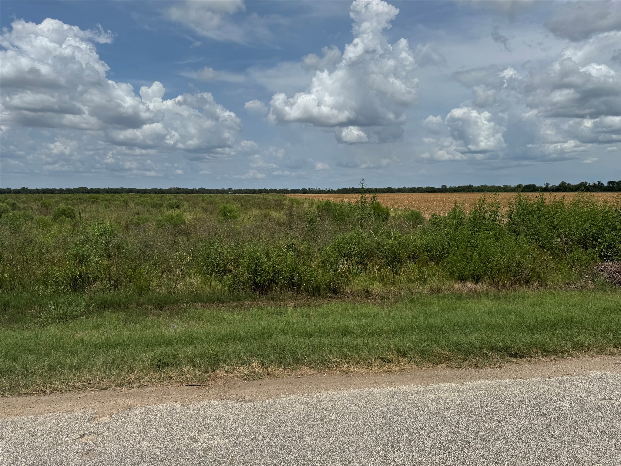 Tbd Beard Road Needville, TX 77461 - Photo 12 of 16 a view of a field with an ocean