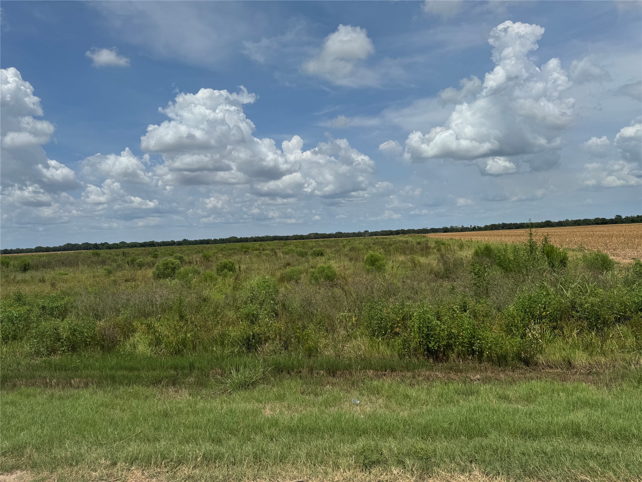 Tbd Beard Road Needville, TX 77461 - Photo 13 of 16