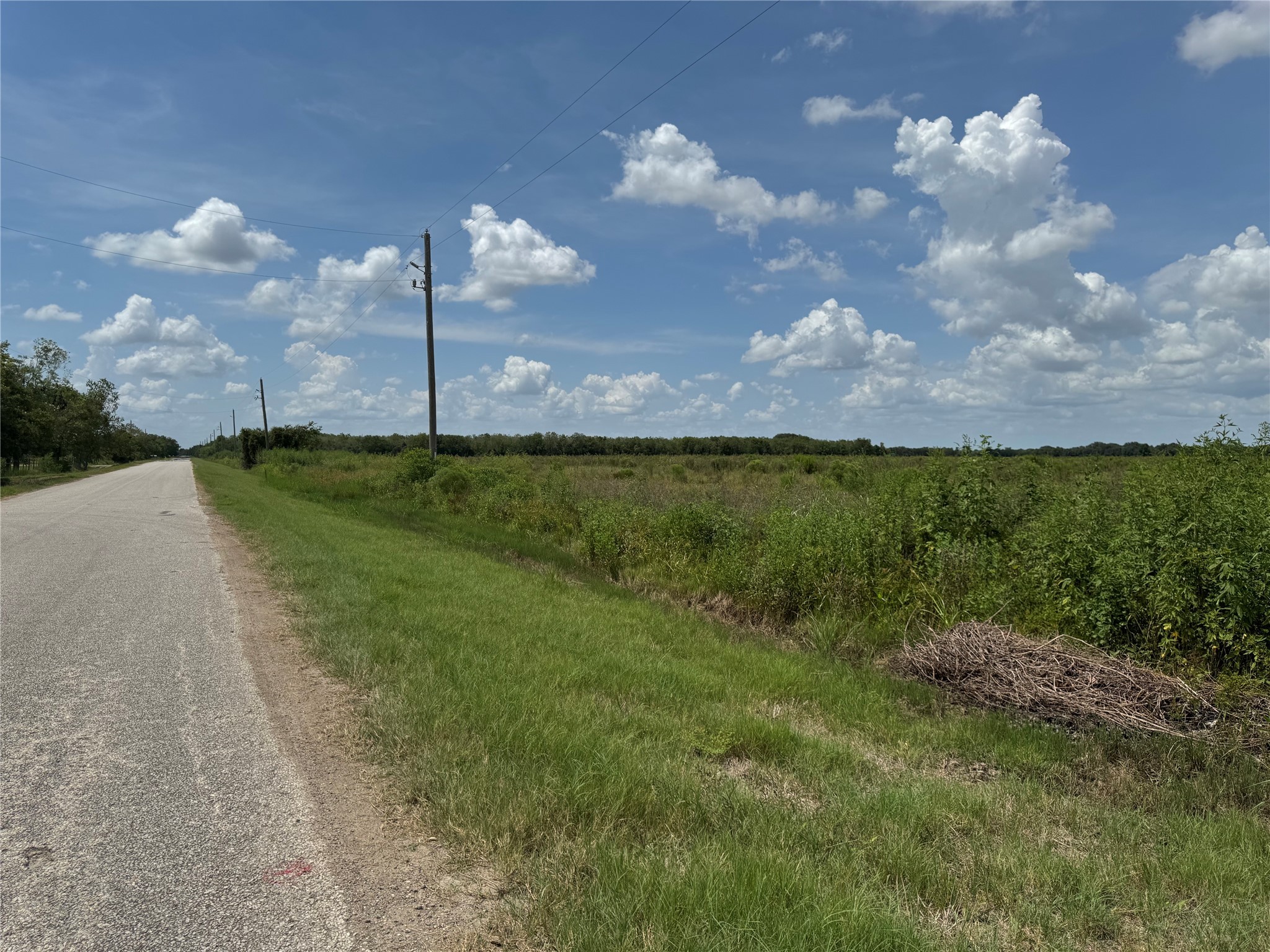 Tbd Beard Road Needville, TX 77461 - Photo 14 of 16 a view of a big yard of grass and an empty space
