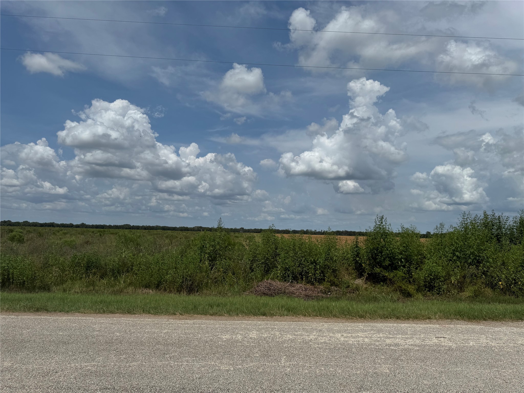 Tbd Beard Road Needville, TX 77461 - Photo 15 of 16 a view of a big yard of a house and a yard