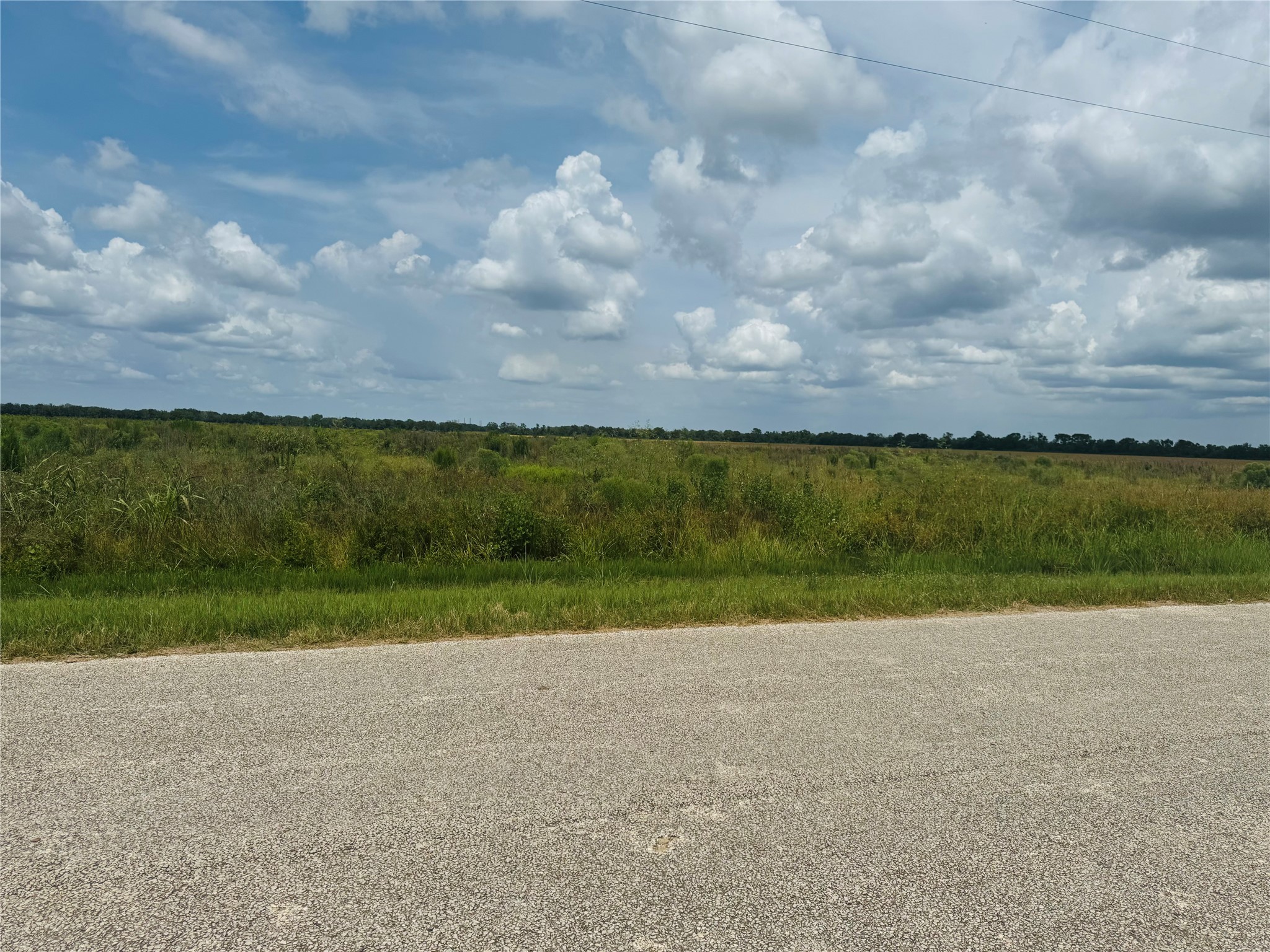 Tbd Beard Road Needville, TX 77461 - Photo 16 of 16 a view of a yard and front view of house