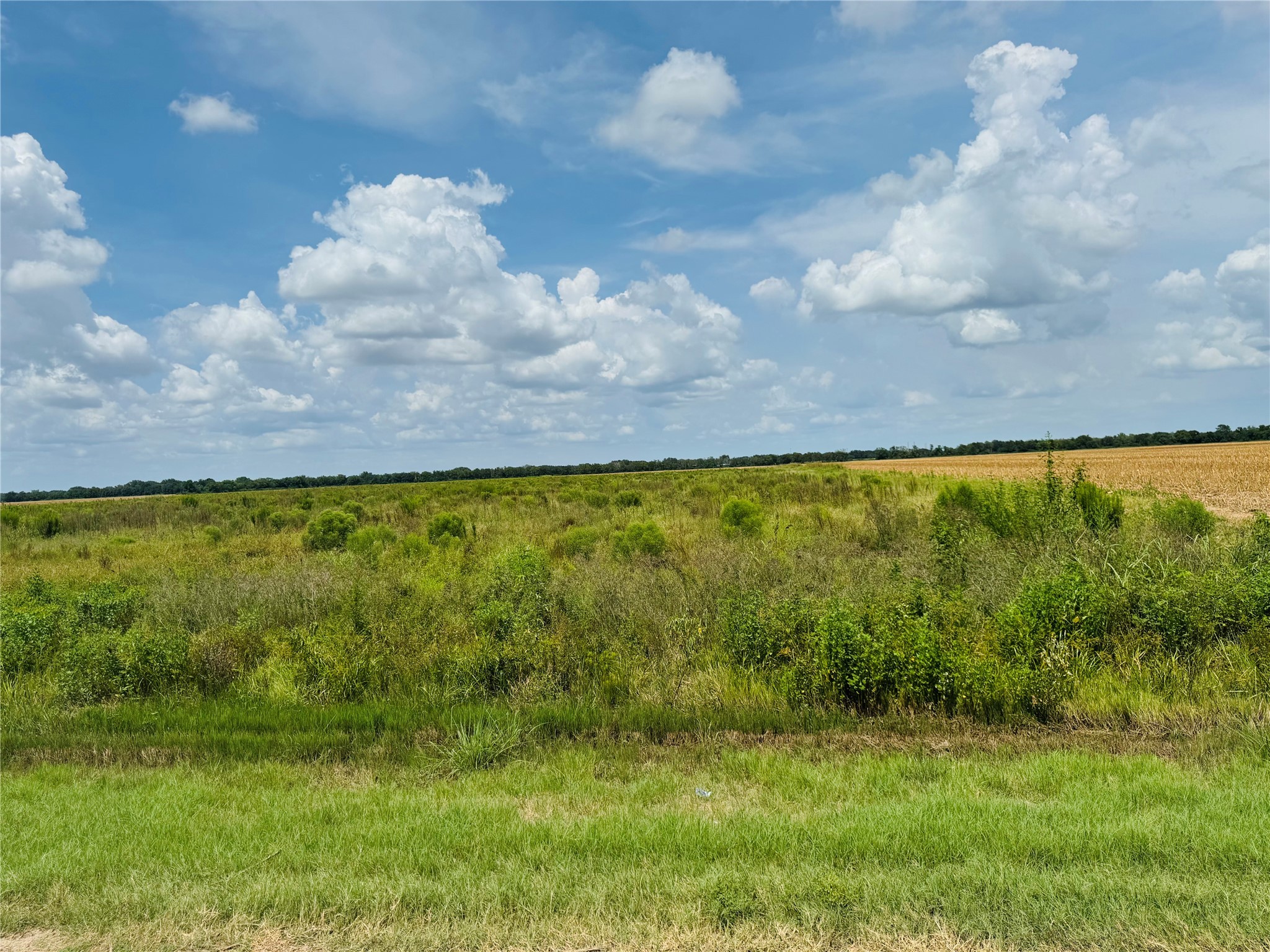 Tbd Beard Road Needville, TX 77461 - Photo 2 of 16