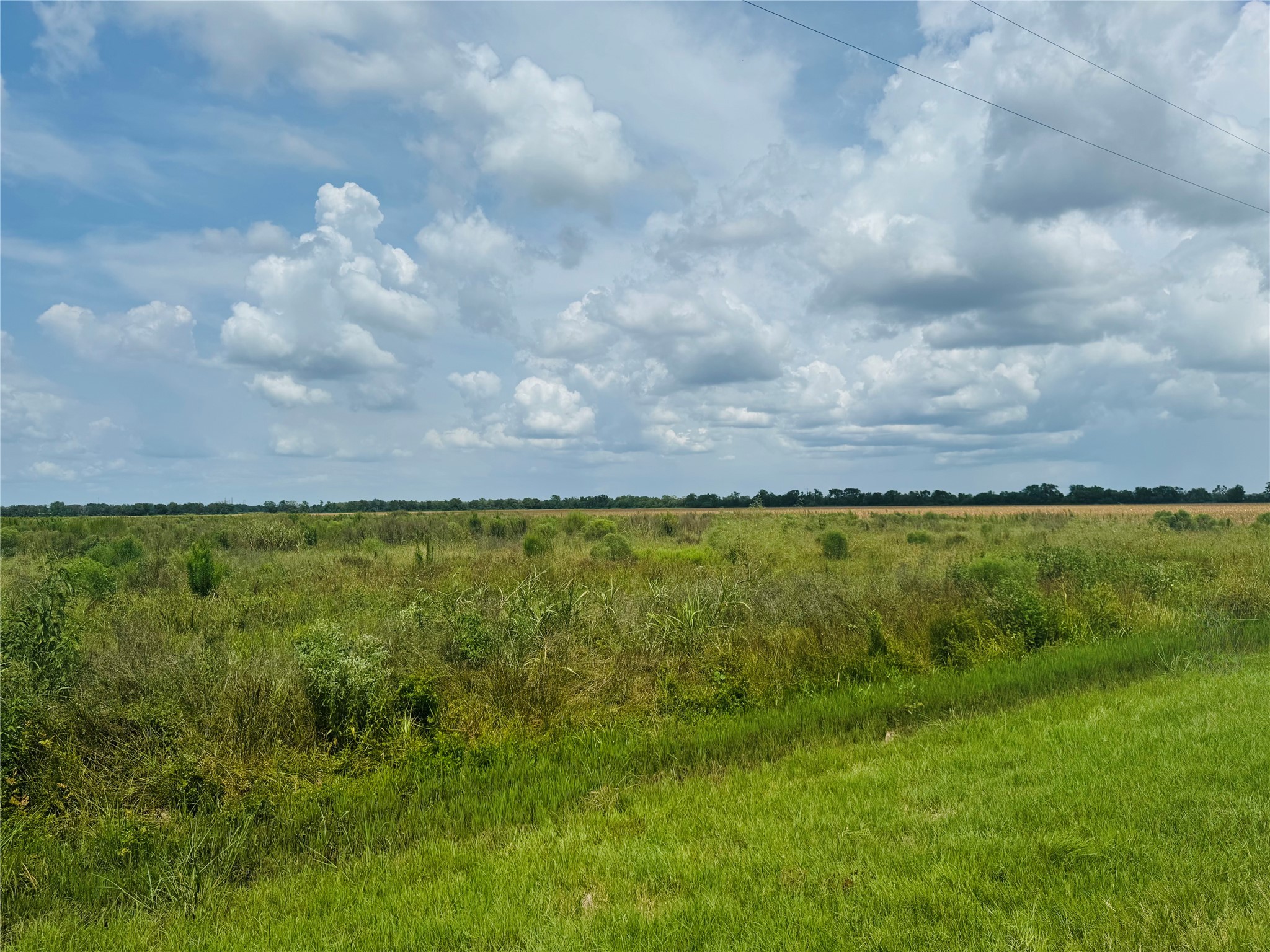 Tbd Beard Road Needville, TX 77461 - Photo 3 of 16