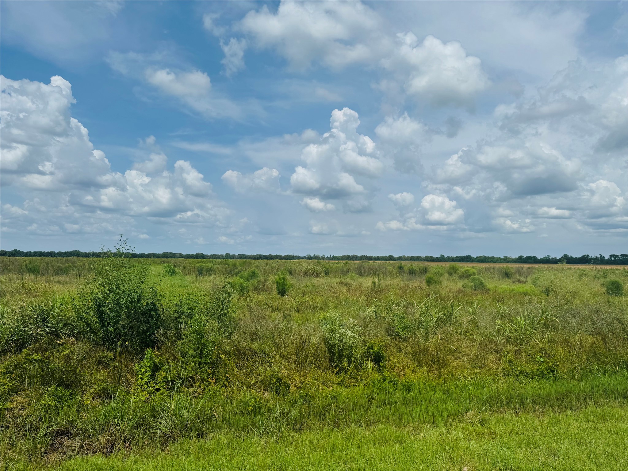 Tbd Beard Road Needville, TX 77461 - Photo 4 of 16 a view of outdoor space and yard