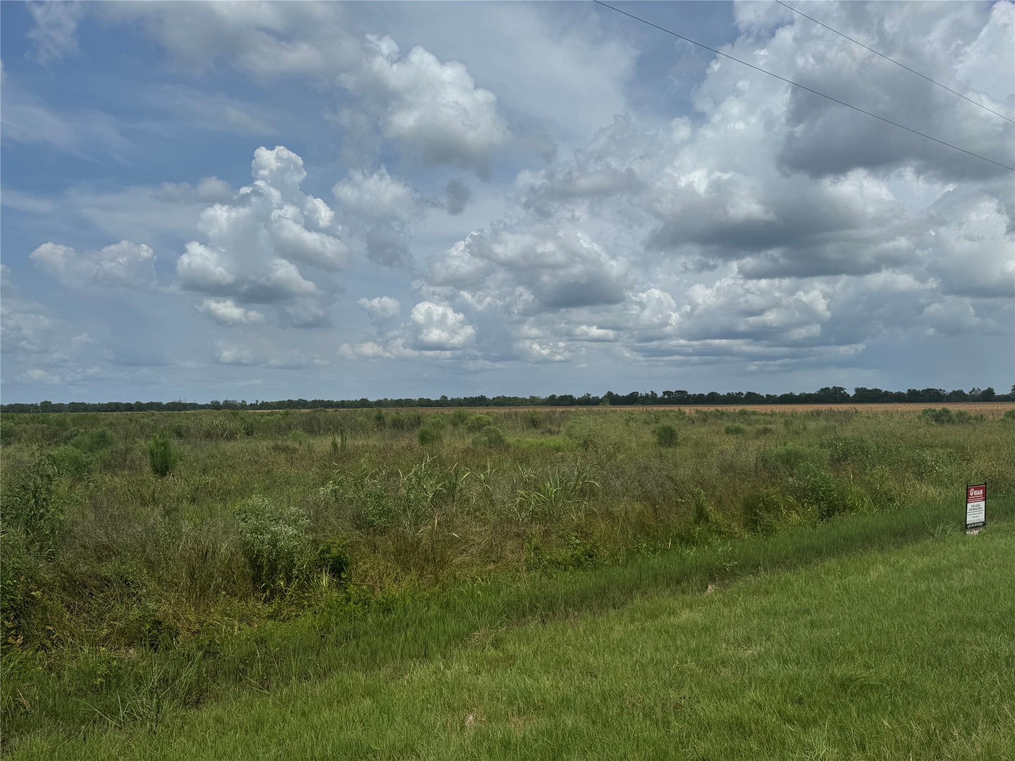 Tbd Beard Road Needville, TX 77461 - Photo 5 of 16