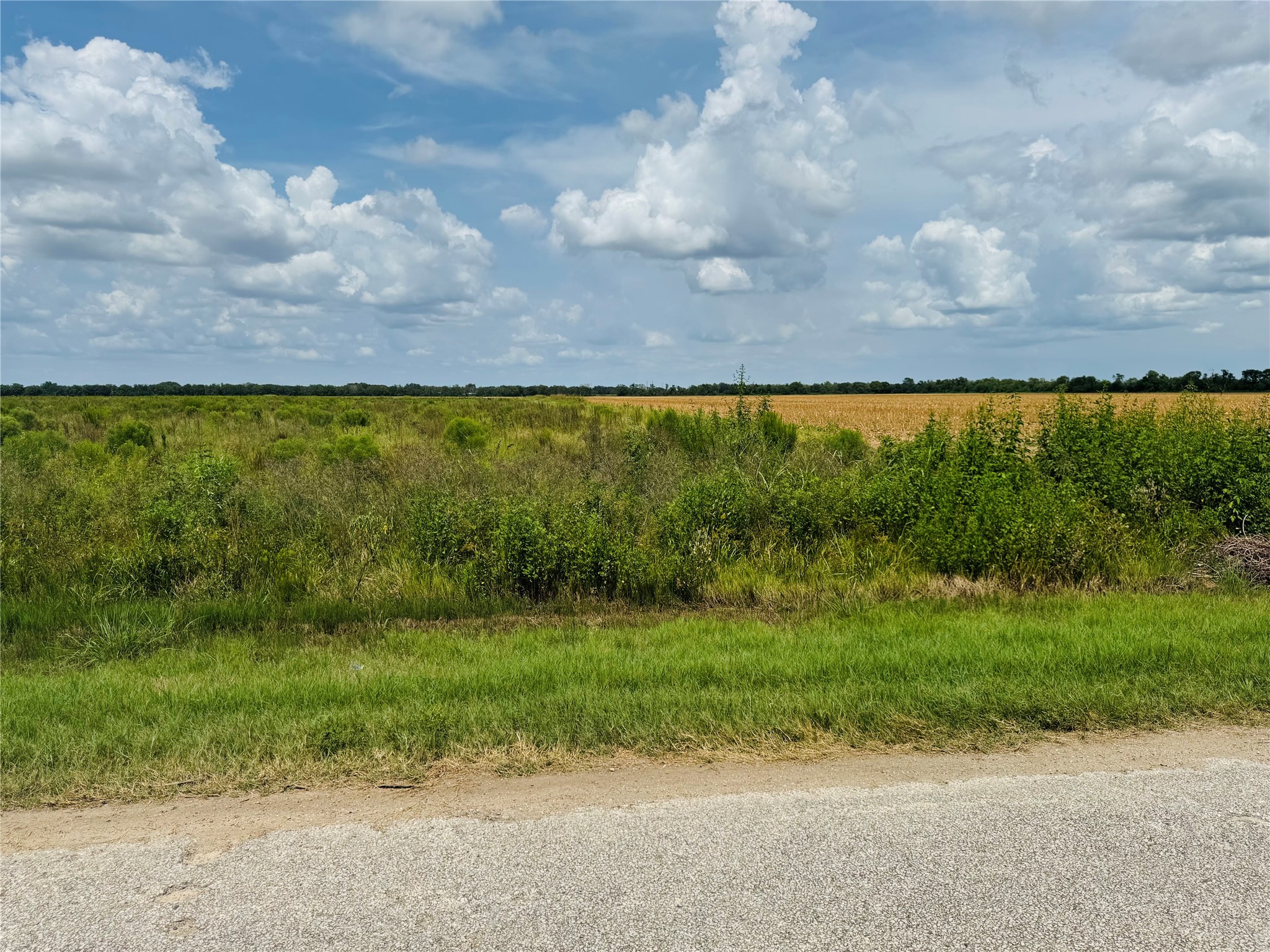 Tbd Beard Road Needville, TX 77461 - Photo 6 of 16 a view of yard with green space