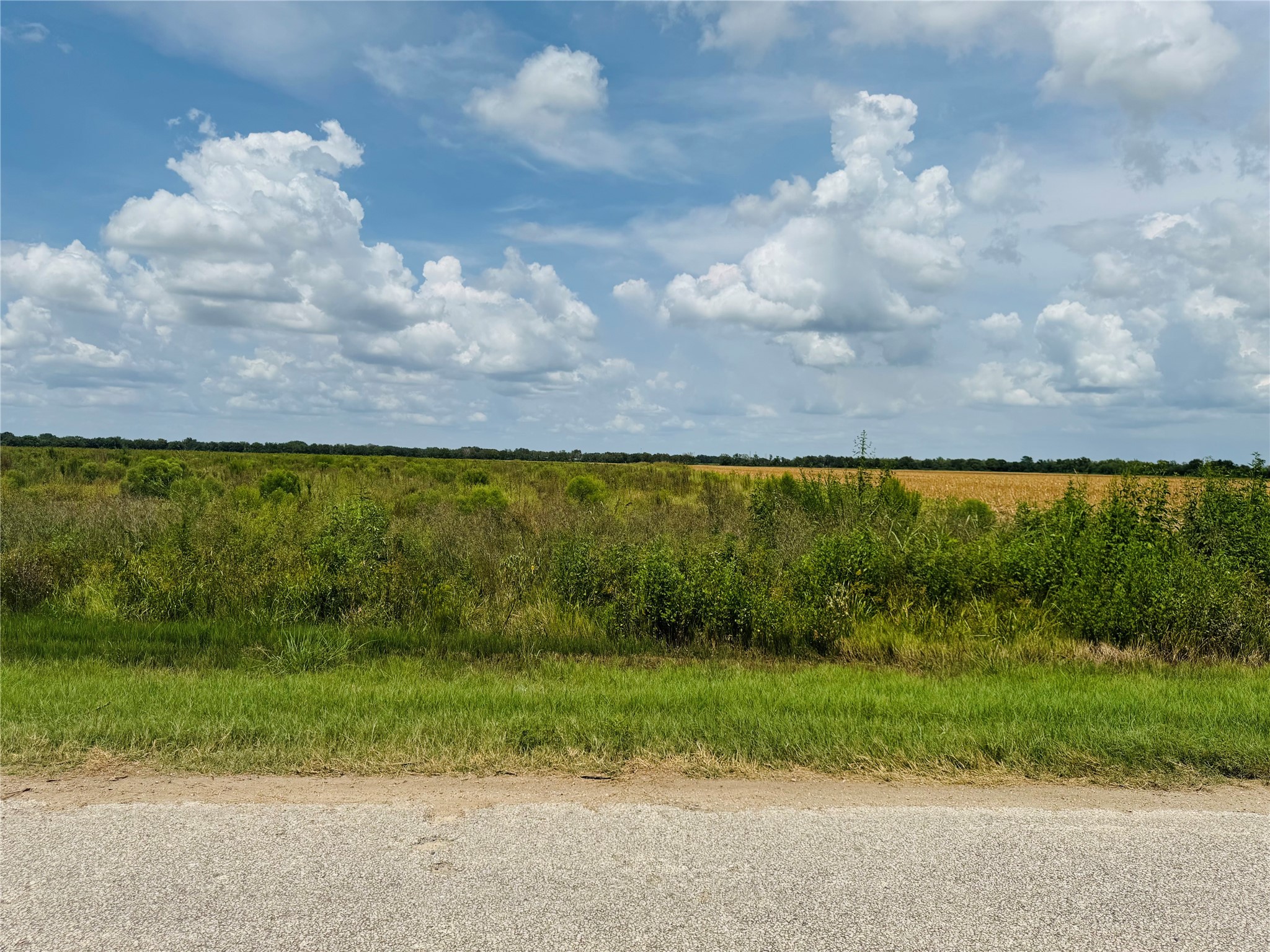 Tbd Beard Road Needville, TX 77461 - Photo 7 of 16