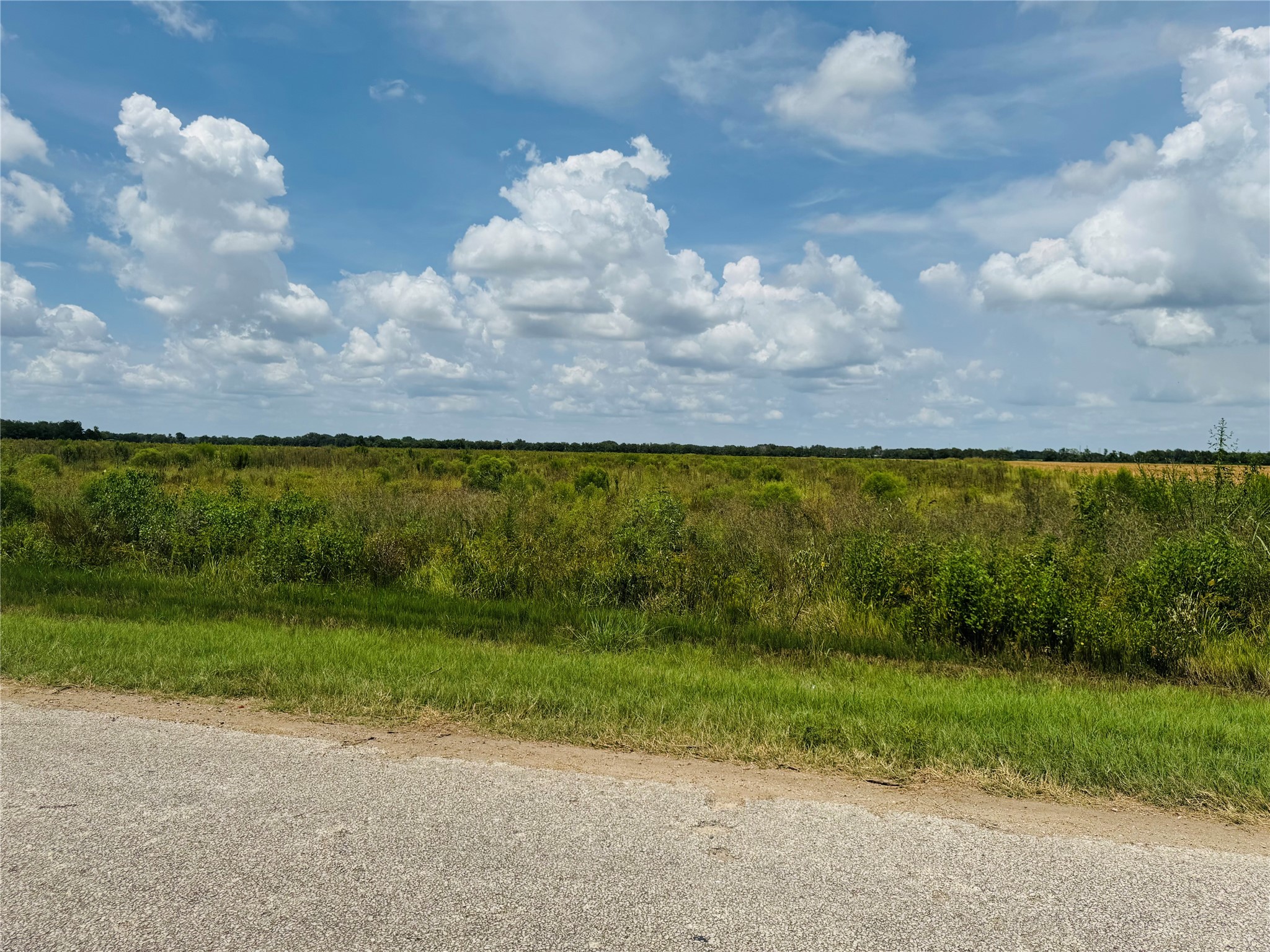 Tbd Beard Road Needville, TX 77461 - Photo 8 of 16 a view of a yard with an ocean