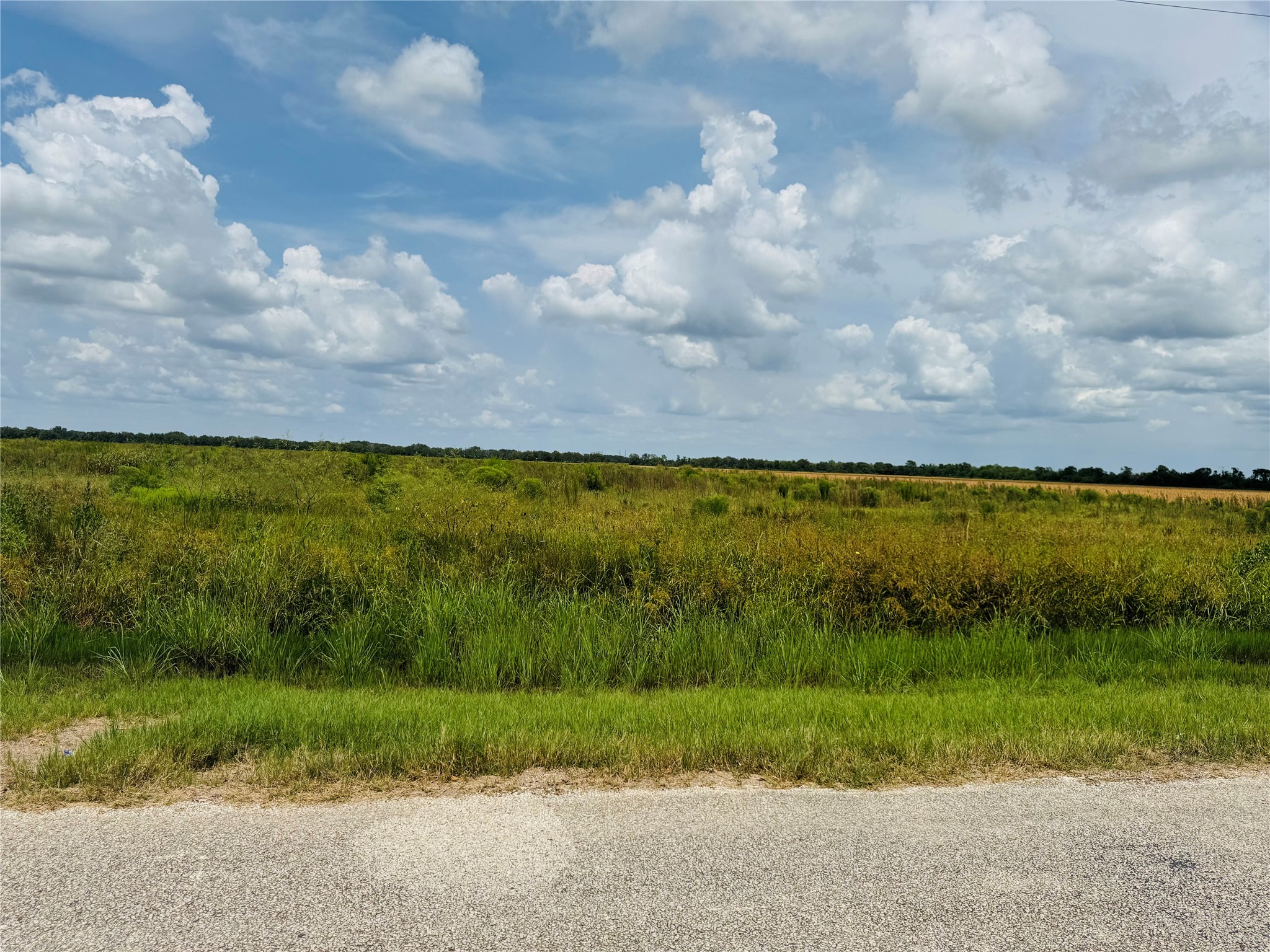 Tbd Beard Road Needville, TX 77461 - Photo 9 of 16