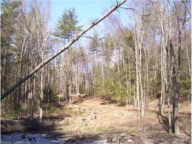0 Shingle Mill Road West Simsbury, CT 06092 - Photo 1 of 1 a view of tall trees with wooden fence