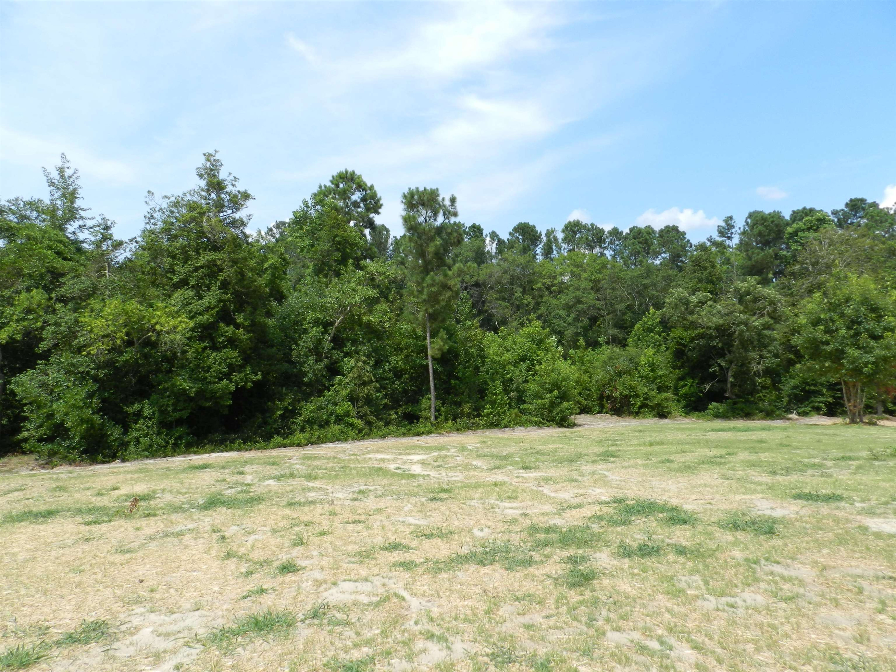 419 Touchdown Way Benson, NC 27504 - Photo 14 of 14 Photo 14