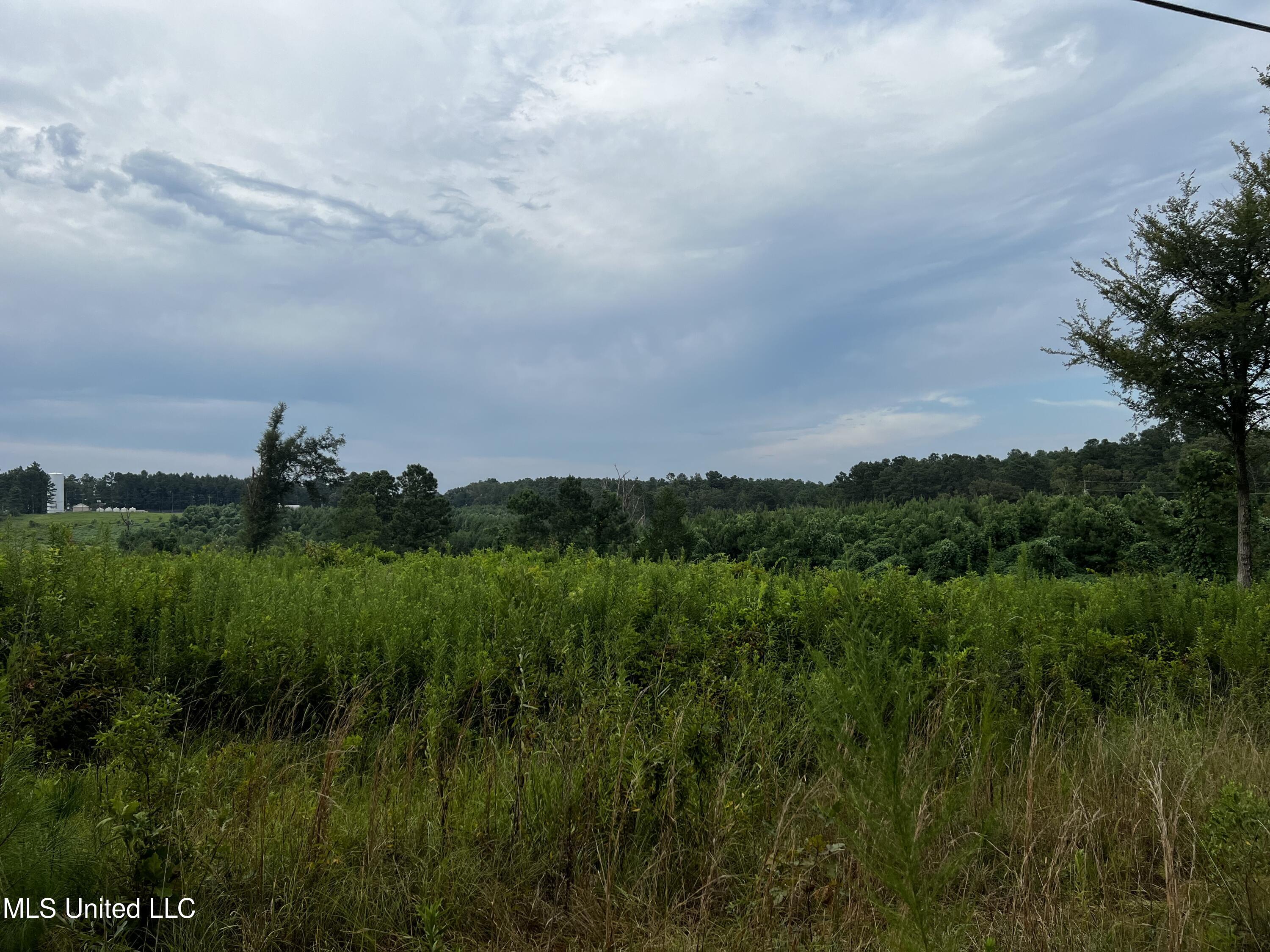 Ludlow Road Lena, MS 39094 - Photo 1 of 11 IMG_7678