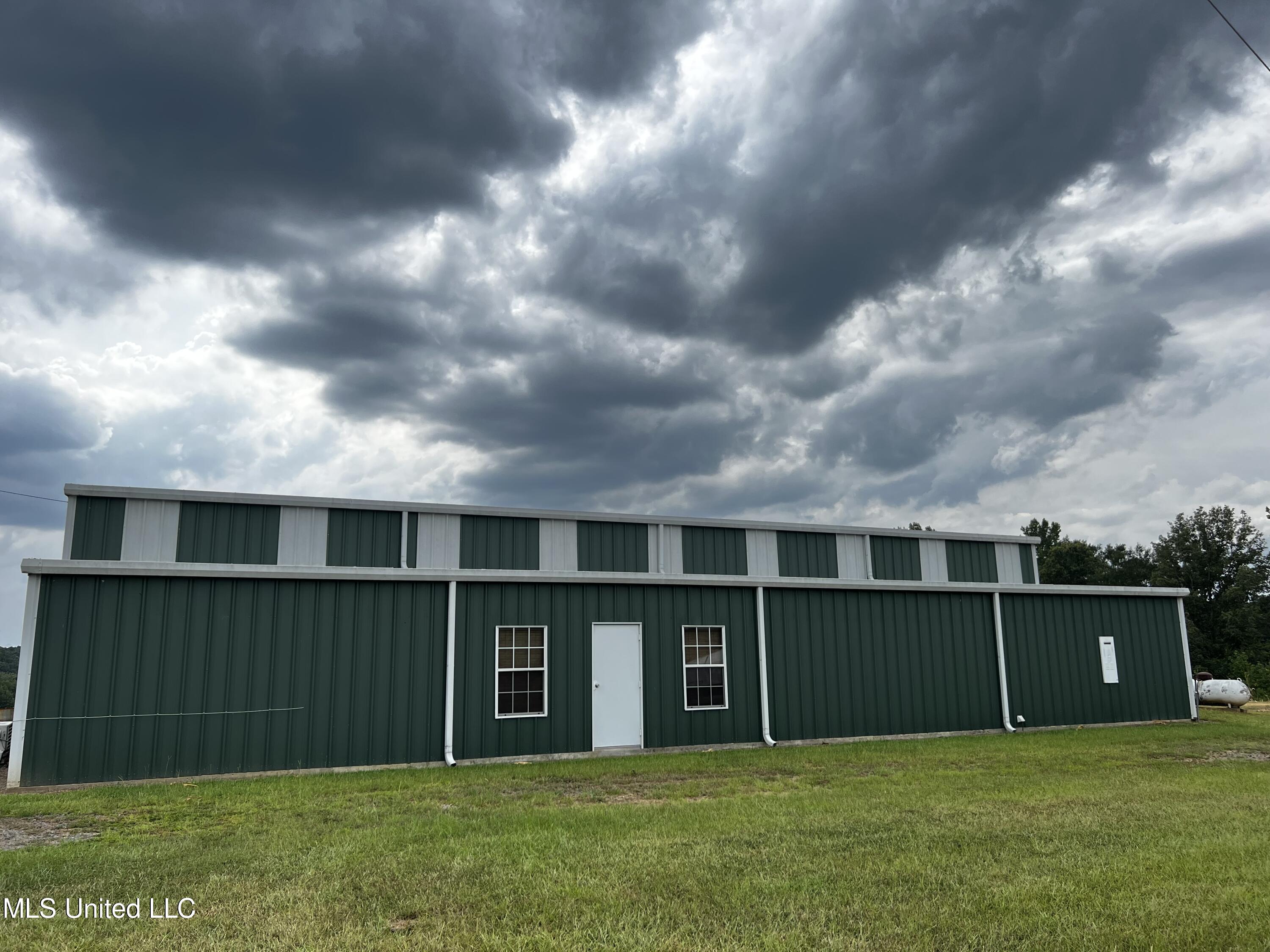 Ludlow Road Lena, MS 39094 - Photo 5 of 11 IMG_7673