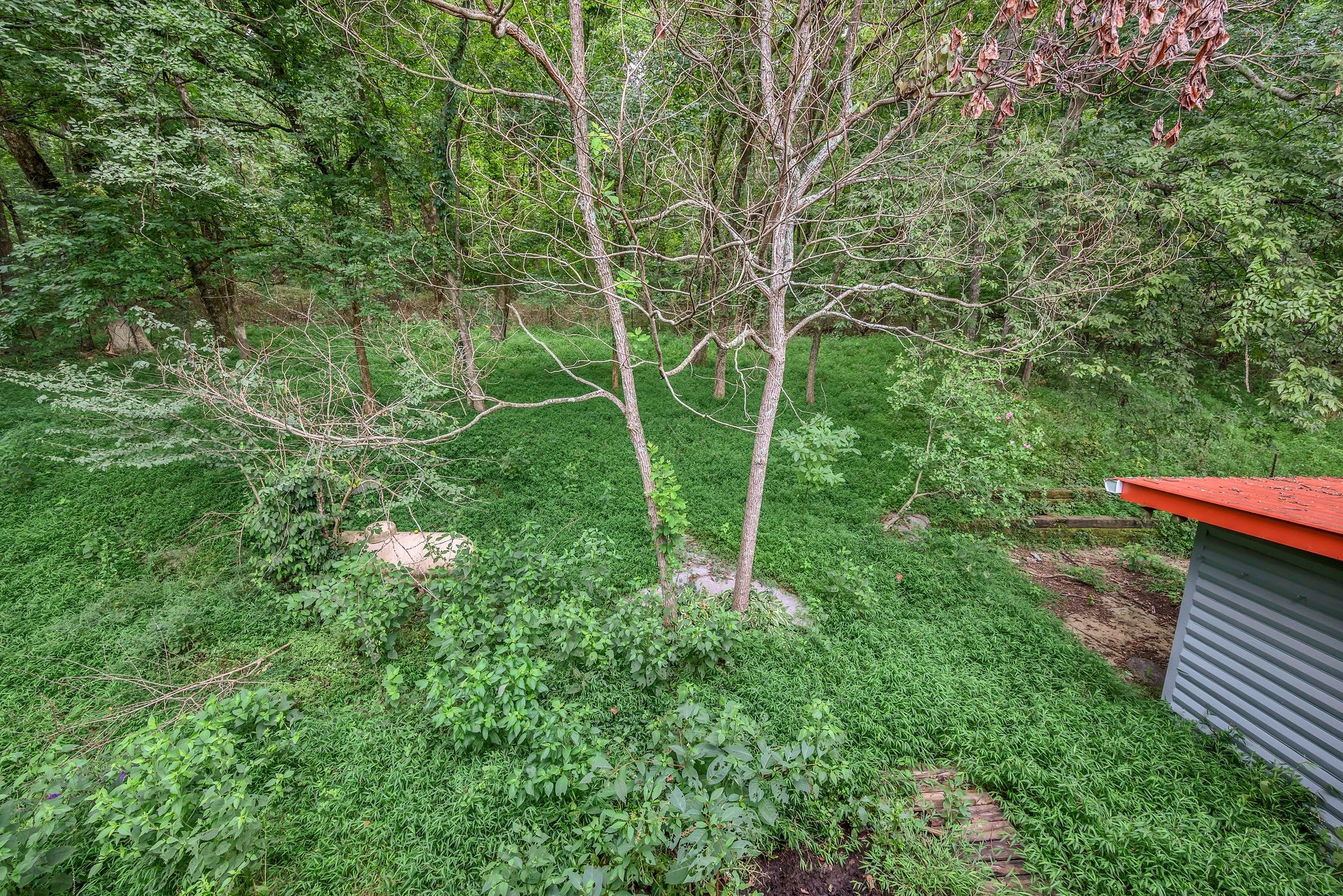 6341 McDaniel Road College Grove, TN 37046 - Photo 37 of 61 Gallery Image 37