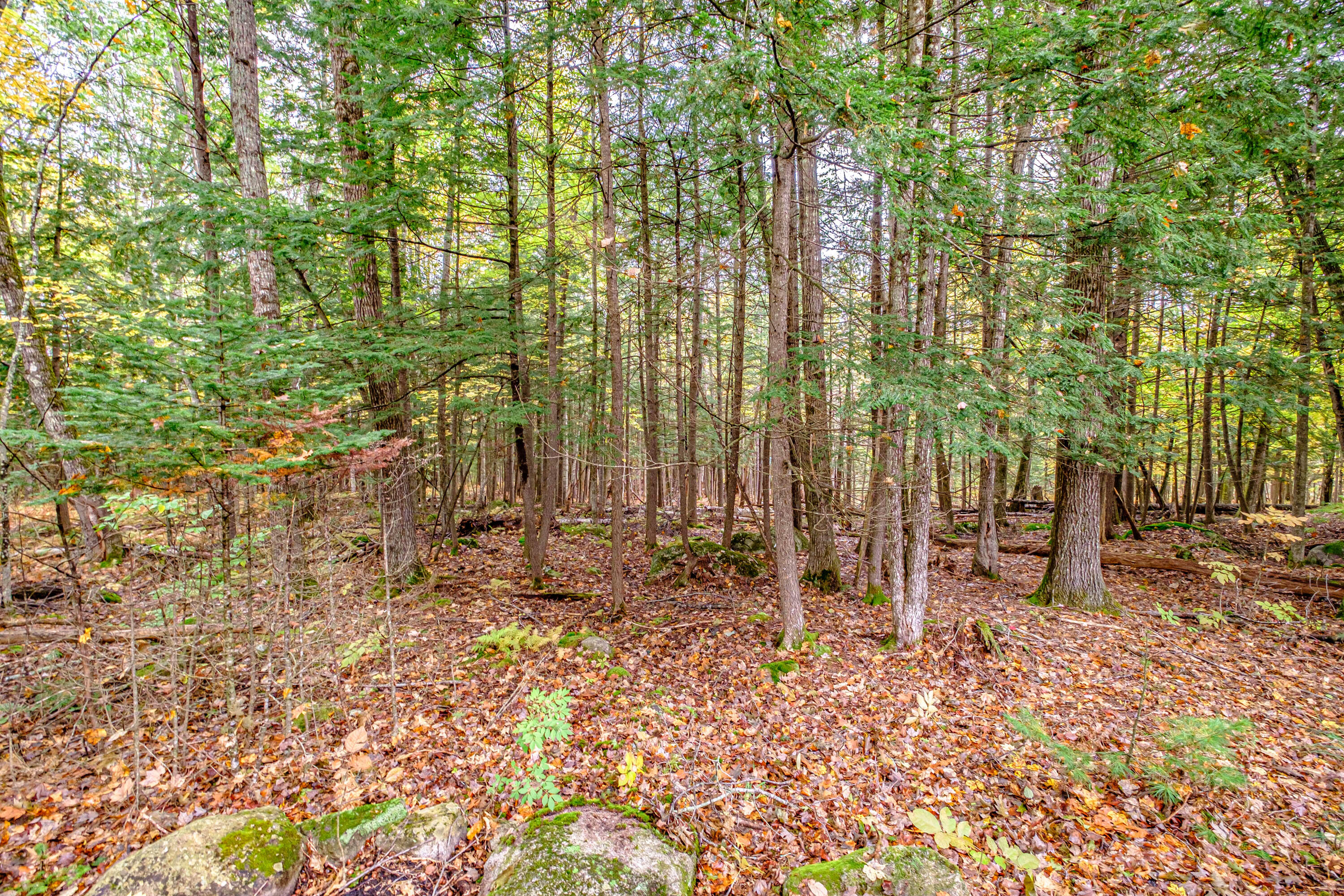 119 Sweden Road Bridgton, ME 04009 - Photo 53 of 72 20231017gp-60065