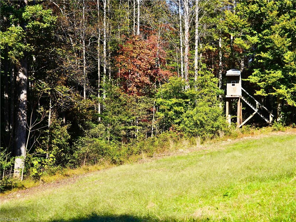 999 County Line Road Bassett, VA 24055 - Photo 32 of 50 Gallery Image 32