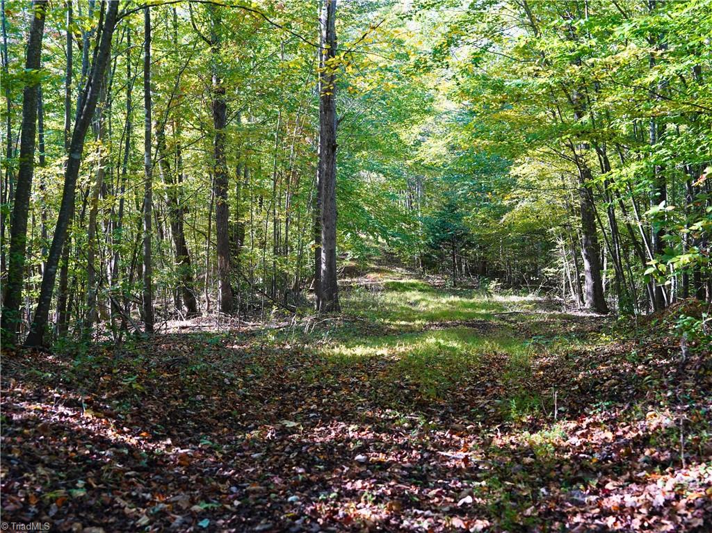 999 County Line Road Bassett, VA 24055 - Photo 33 of 50 Gallery Image 33