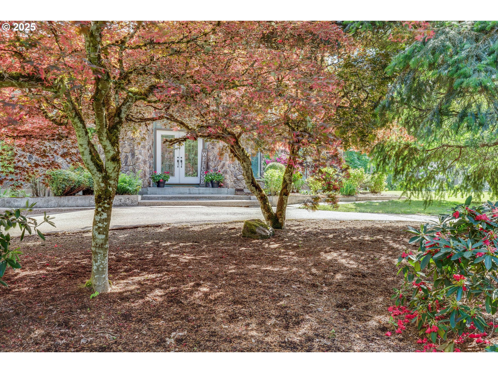 7755 Southwest Bracken Drive Cornelius, OR 97113 - Photo 39 of 47 Front Yard