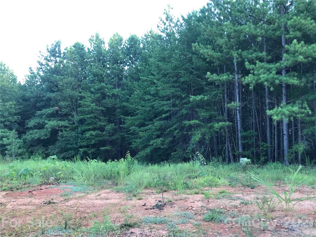 184 Pea Ridge Road Mill Spring, NC 28756 - Photo 1 of 13 a view of a yard with a tree