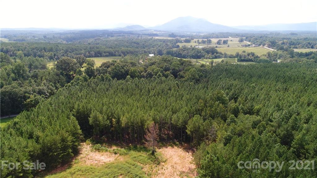 184 Pea Ridge Road Mill Spring, NC 28756 - Photo 11 of 13 an aerial view of residential house and green space