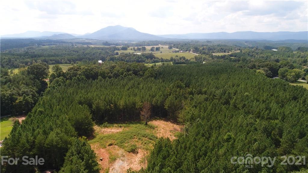 184 Pea Ridge Road Mill Spring, NC 28756 - Photo 12 of 13 a view of a lush green forest with trees in the background