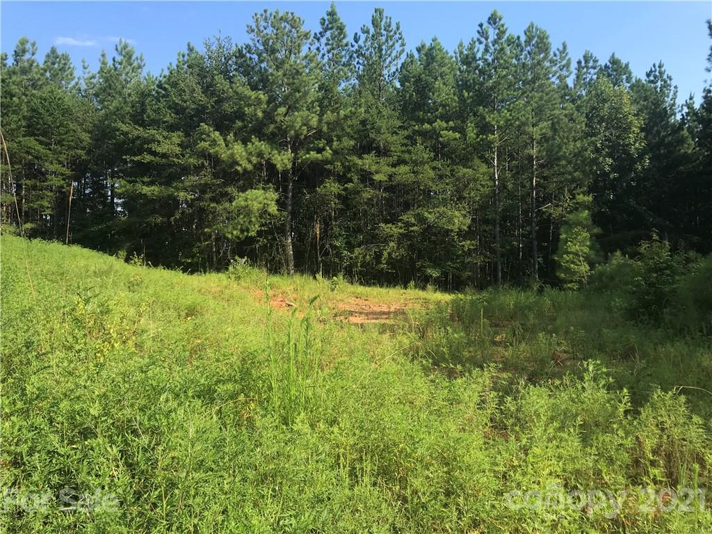 184 Pea Ridge Road Mill Spring, NC 28756 - Photo 5 of 13 a view of outdoor space and a yard