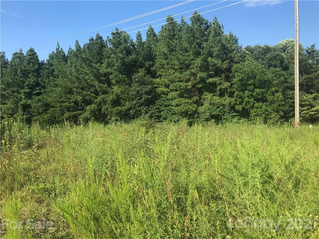 184 Pea Ridge Road Mill Spring, NC 28756 - Photo 6 of 13 a view of a garden