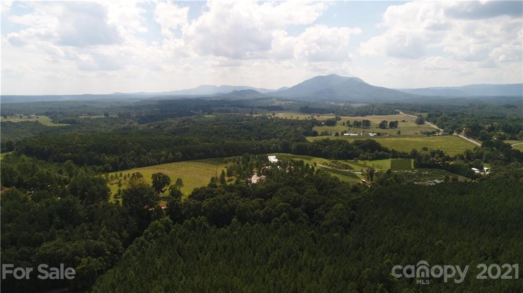 184 Pea Ridge Road Mill Spring, NC 28756 - Photo 10 of 13 a view of a lake in middle of the town