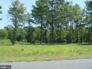 Lot 3 Tanhouse Road Snow Hill, MD 21863 - Photo 1 of 2 Gallery Image 1
