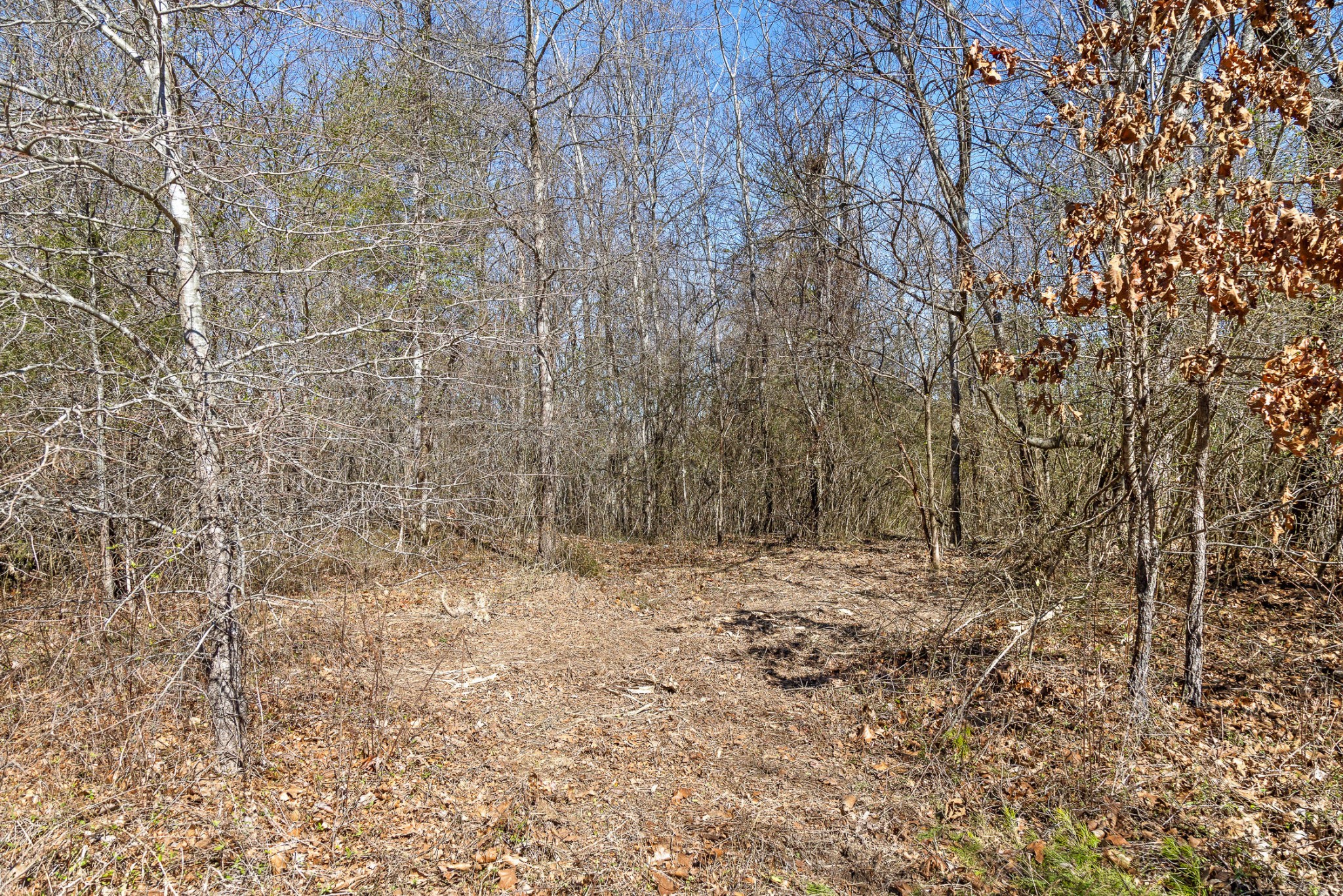 0 Andy Thomas Road Dayton, TN 37321 - Photo 14 of 45